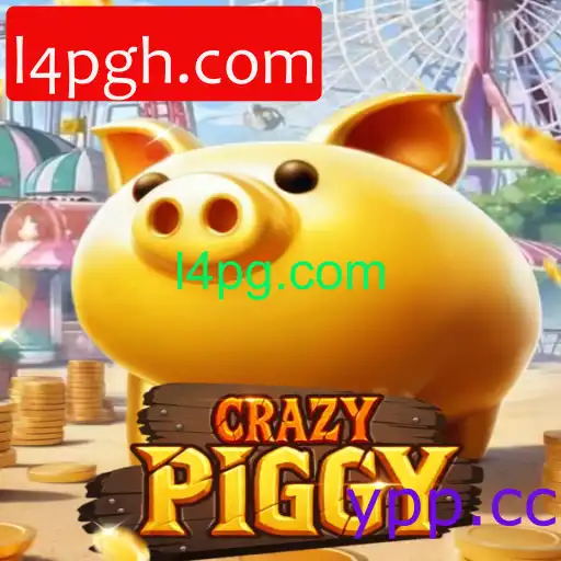 CrazyPiggy